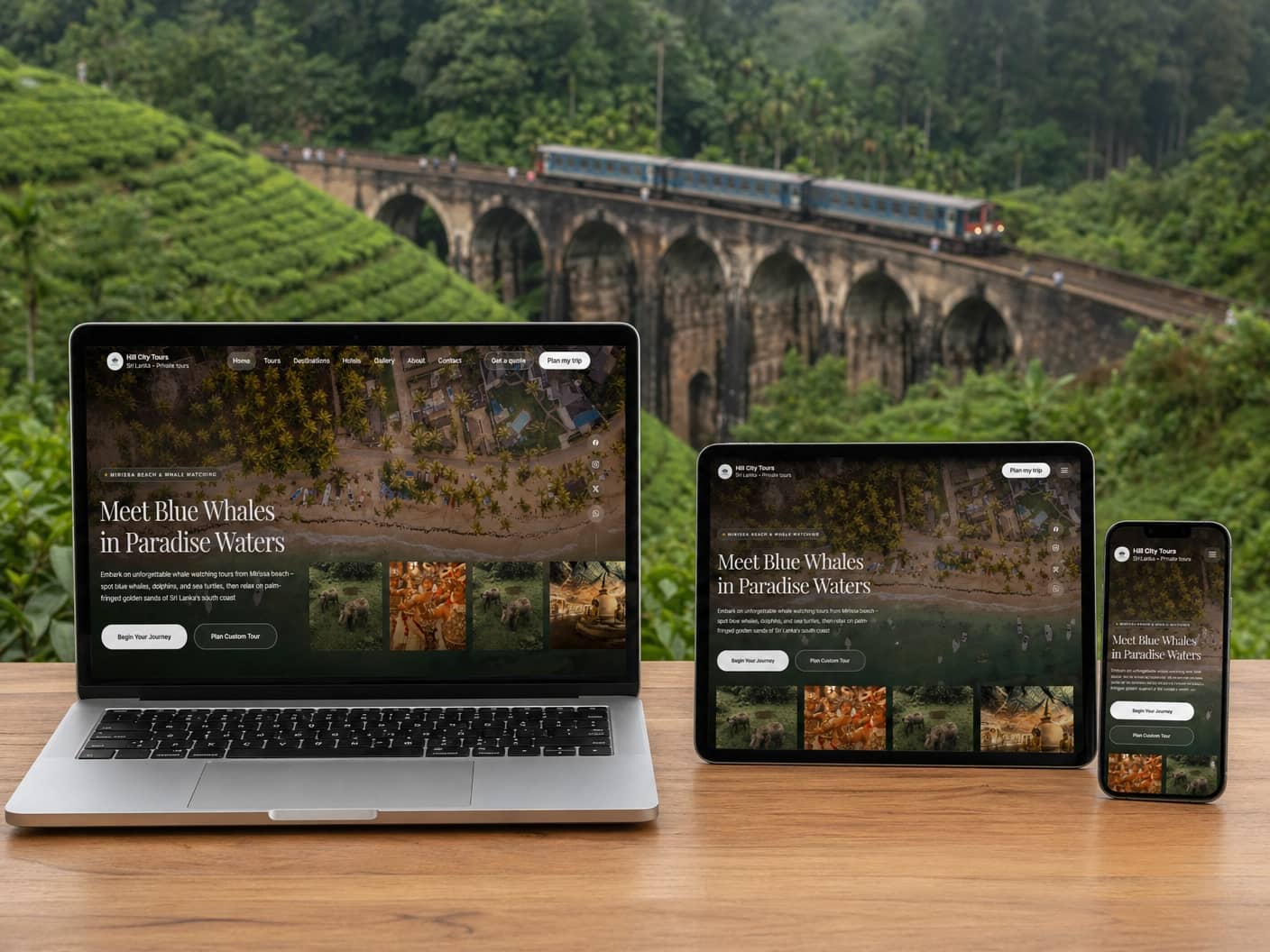 hill_city_tours_multi_device_ella - Copy